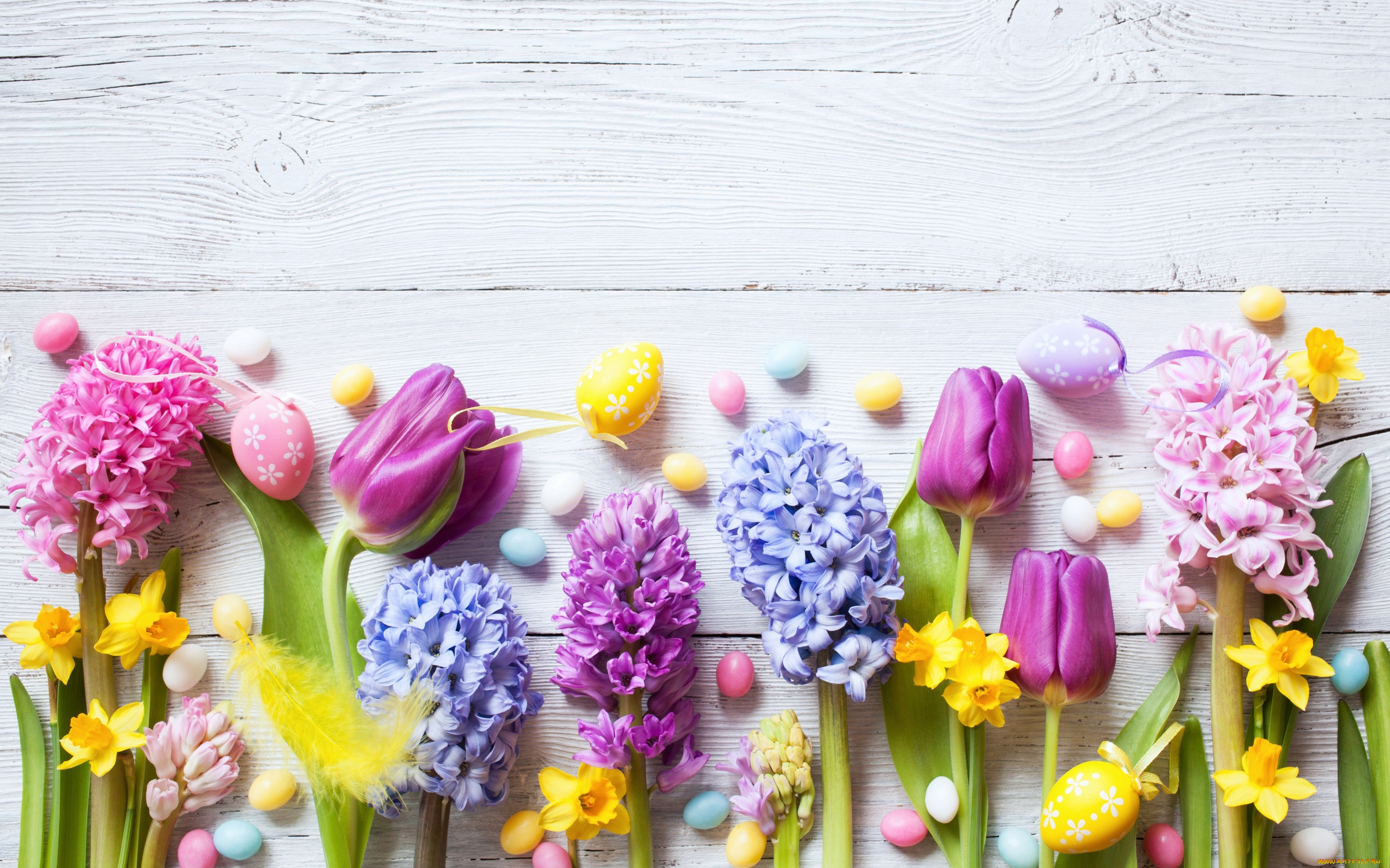 , , , flowers, eggs, tulips, wood, decoration, happy, spring, , , , , , easter, colorful, 
